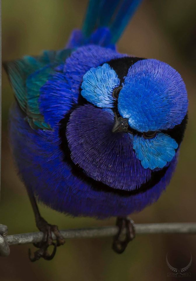 UserPostedImage
