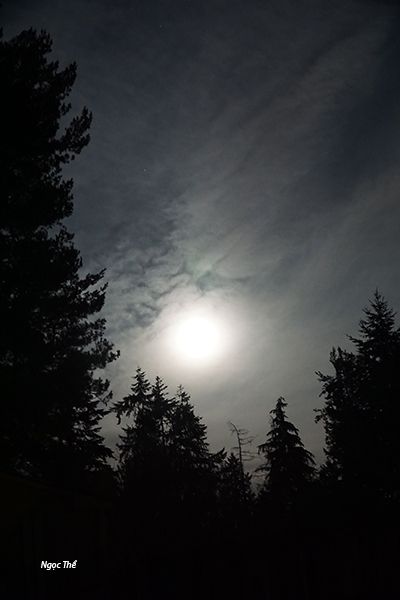 UserPostedImage
