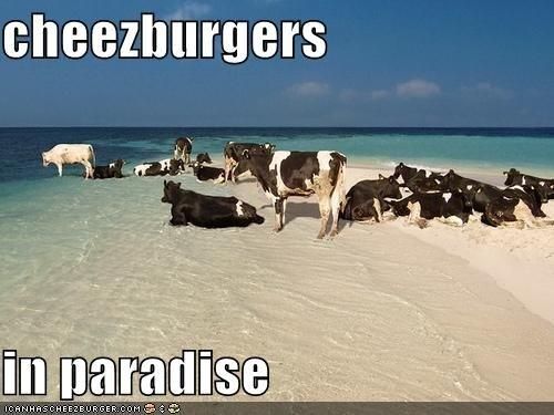 Cheeseburgers in paradise