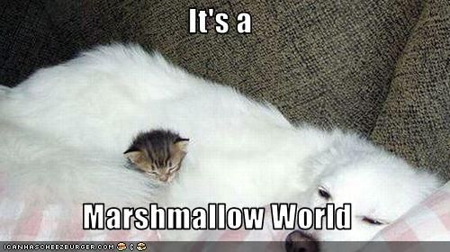 Marshmallow World