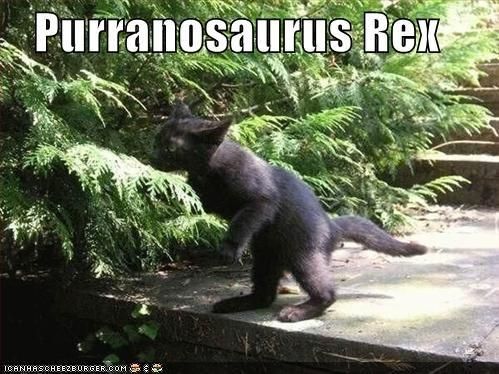Purr-ranacaurous Rex