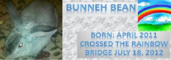 Bunnehbeanmemorial