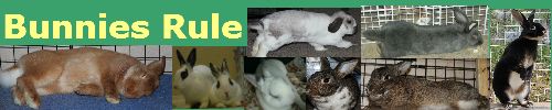 photo bbsignature_zpsdf2e1506.jpg