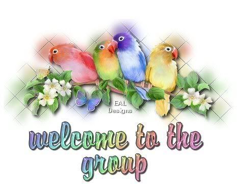 welcometogroupbirds.jpg