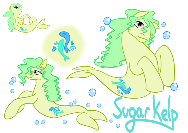 sugarkelp.png