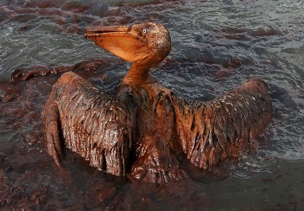 Bhp Oil Spill