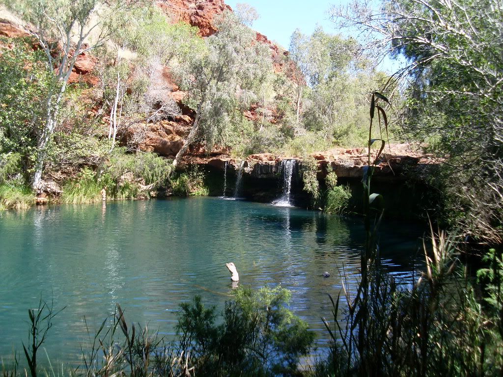 Fern Pool