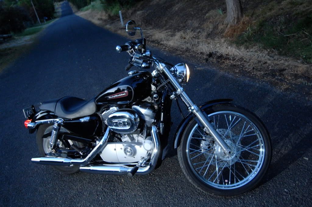 DSC_0363.jpg picture by watto883