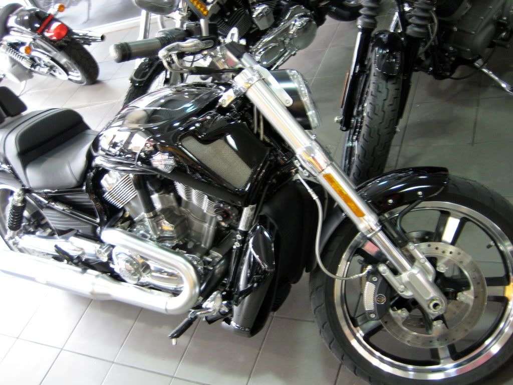 IMG_4276.jpg picture by watto883