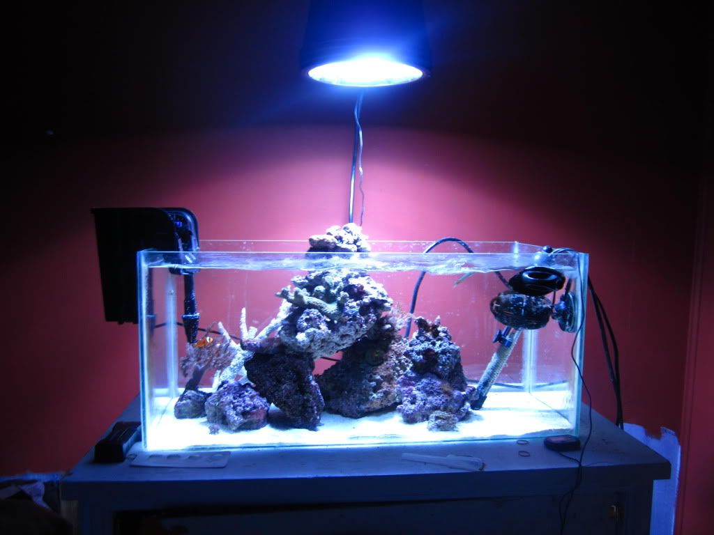 IMG 0953 - BK's 17 Shallow Nano Contest Entry!!!
