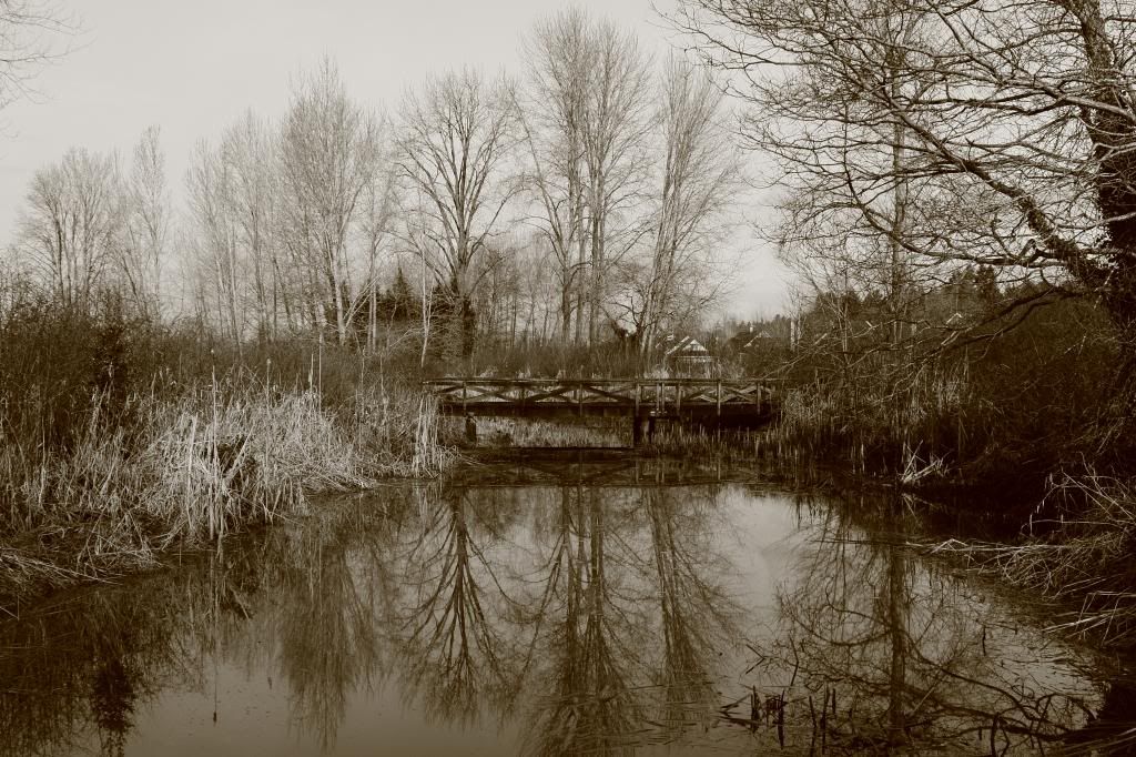 IMAGE: http://i962.photobucket.com/albums/ae110/blacko678/IMG_1518_zpsaee78f86.jpg