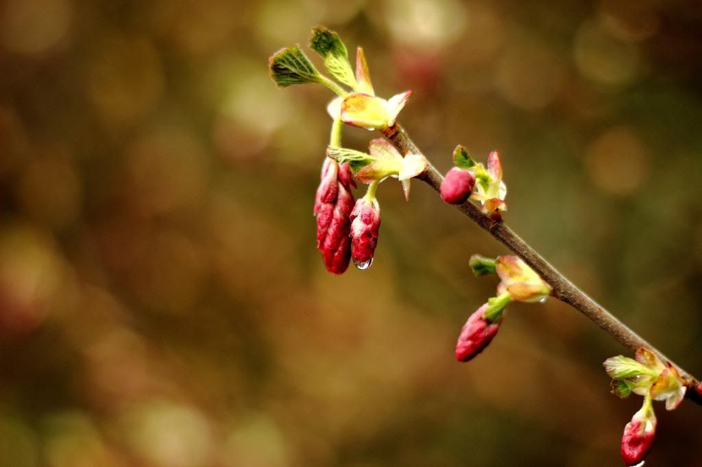 IMAGE: http://i962.photobucket.com/albums/ae110/blacko678/IMG_1821_zps8bf8d0a1.jpg