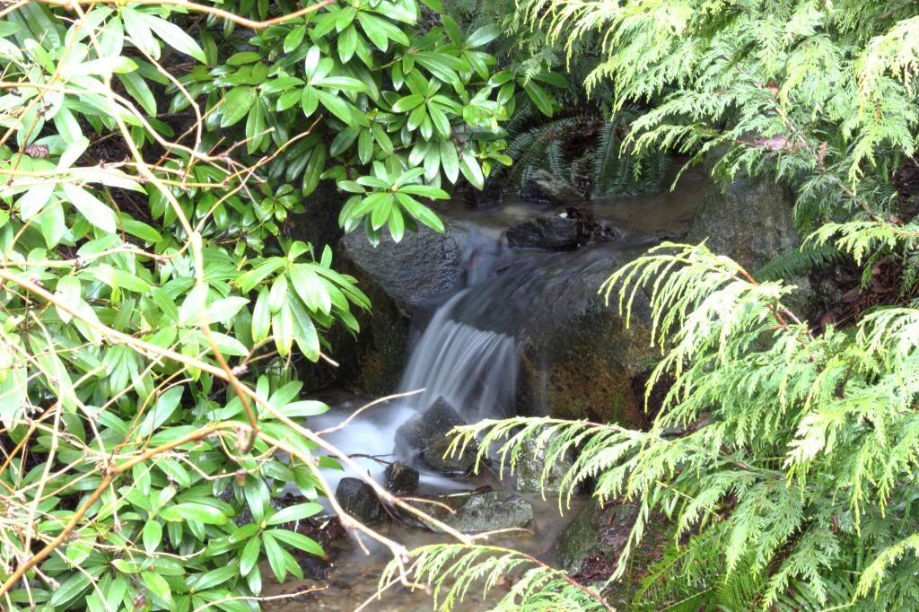 IMAGE: http://i962.photobucket.com/albums/ae110/blacko678/IMG_1829_zps2eb3b0b8.jpg