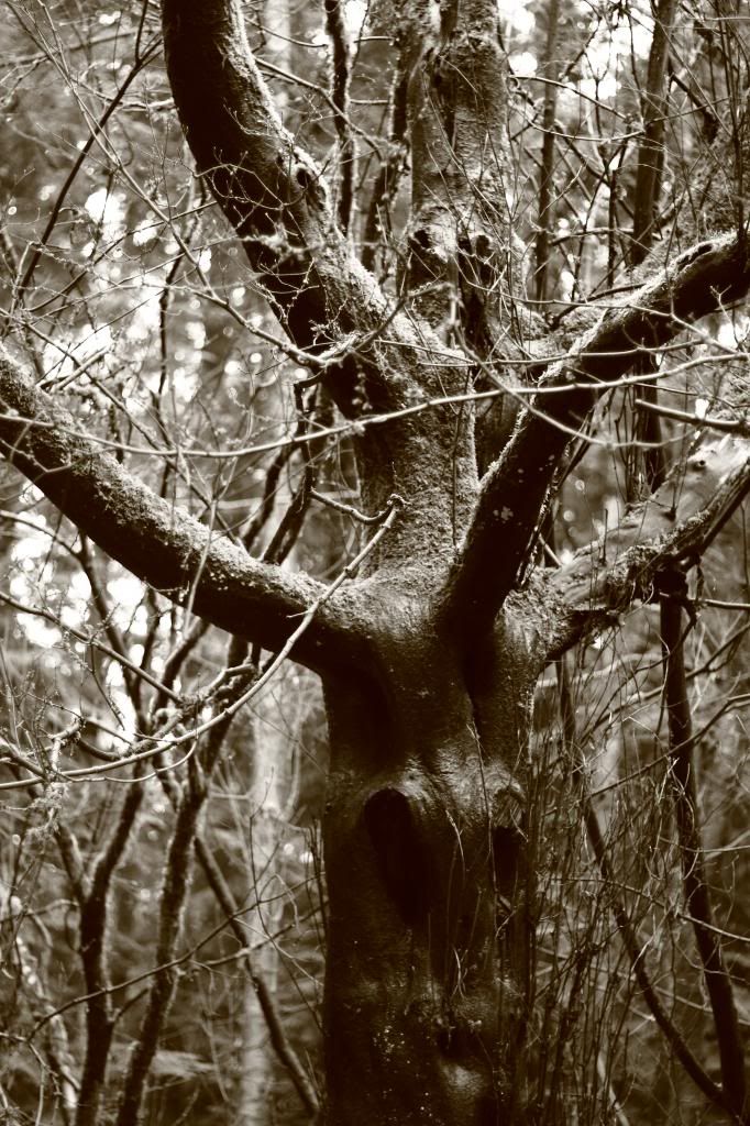 IMAGE: http://i962.photobucket.com/albums/ae110/blacko678/IMG_1838_zpsf18f0176.jpg