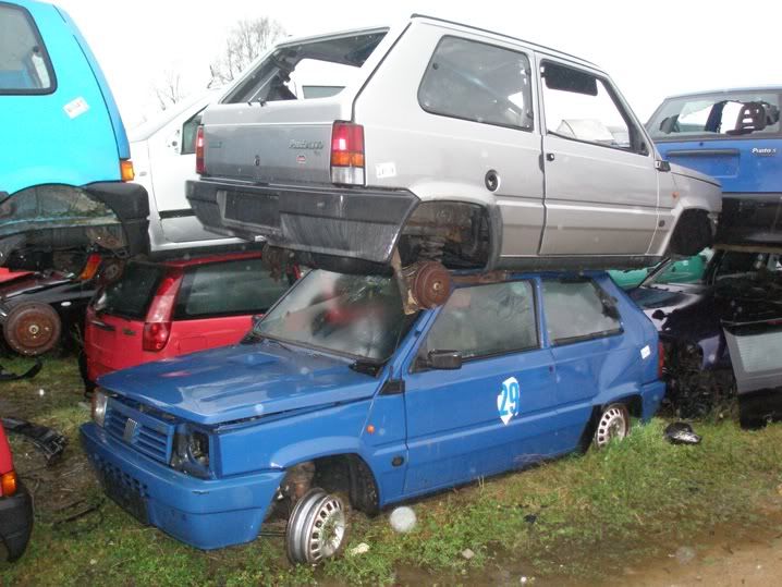 pandaclx.jpg