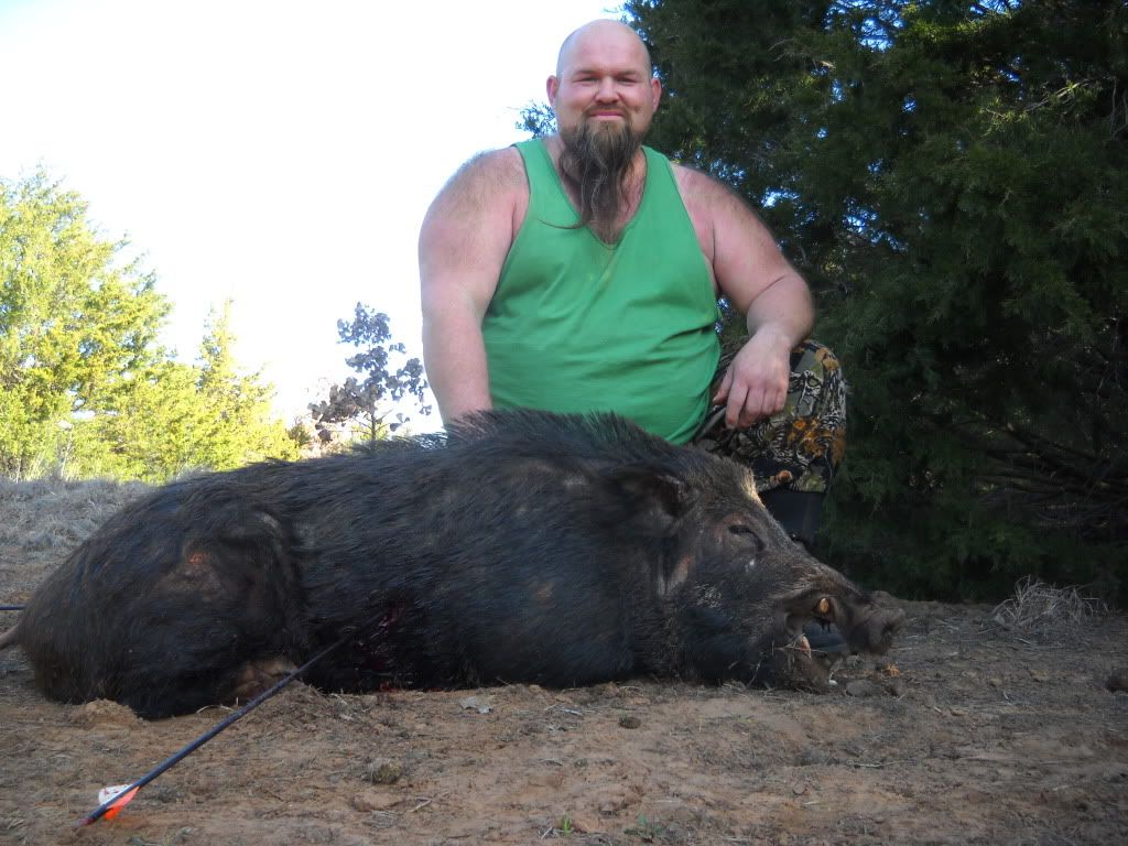 Couple Oklahoma boars | BowFishing Country